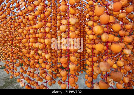 Persimmons o Kaki frutta sbucciata e appesa su una corda per asciugare. Diospyros kaki frutta o Persimmons sono esposti al sole e vento naturale come il Deni Foto Stock