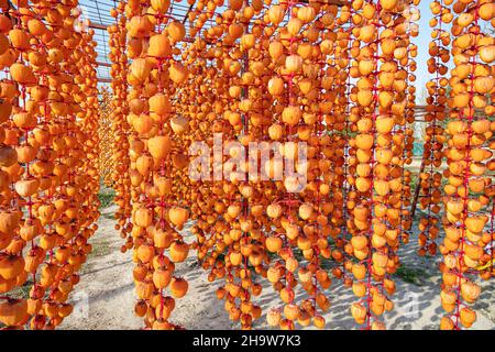 Persimmons o Kaki frutta sbucciata e appesa su una corda per asciugare. Diospyros kaki frutta o Persimmons sono esposti al sole e vento naturale come il Deni Foto Stock