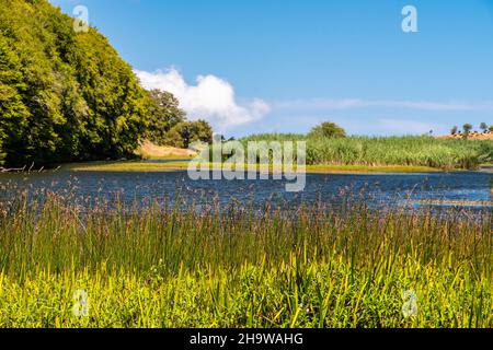 Vista sul lago di Biviere in una soleggiata giornata estiva, Parco Nazionale dei Nebrodi, Sicilia, Italia Foto Stock