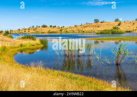 Vista sul lago di Biviere in una soleggiata giornata estiva, Parco Nazionale dei Nebrodi, Sicilia, Italia Foto Stock