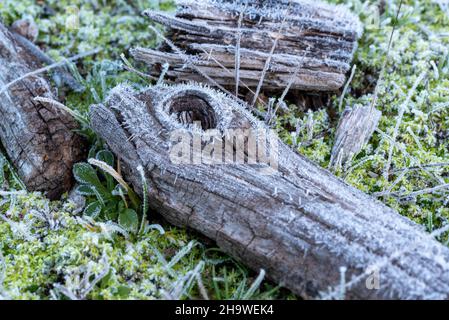 Cristalli di ghiaccio su un pezzo di legno. Foto Stock