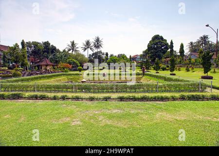 I giardini del Tempio di Mendut nel villaggio di Mendut a Magelang costruito nel 9th d.C. a Giava Centrale, Indonesia. Foto Stock