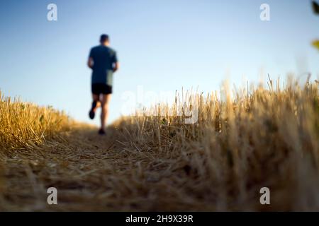 Il runner si sta allenando all'aperto la mattina presto. Foto Stock