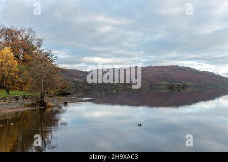 Vista di Ullswater nel Lake District a Cumbria, Inghilterra, Regno Unito, in una tranquilla mattina presto di novembre. Splendido paesaggio lacustre con colori autunnali. Foto Stock