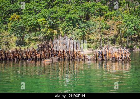 Abbandonato relitto rotto che sporge dal mare Foto Stock