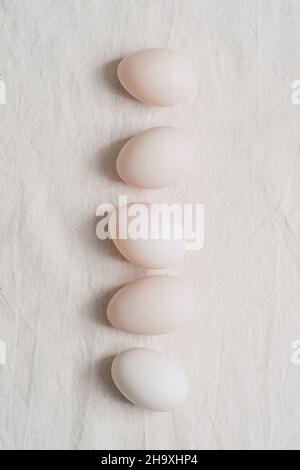 Una fila di sei uova d'anatra bianche Foto Stock