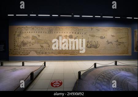 Gaziantep, Turchia. Zeugma Mosaic Museum, una delle più grandi collezioni di mosaici del mondo. Foto Stock