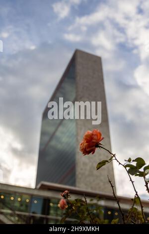 NEW YORK CITY, STATI UNITI - 07 dicembre 2021: Sede delle Nazioni Unite, New York Foto Stock