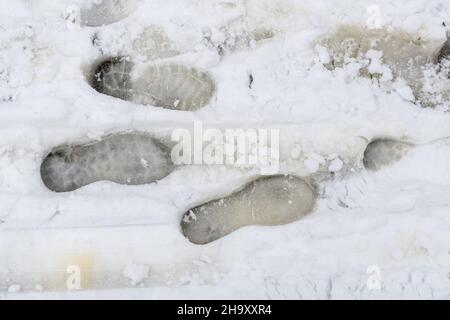 Impronte umane (protezioni delle suole) su neve bianca appena caduta. Impronte sul sentiero invernale. Foto Stock
