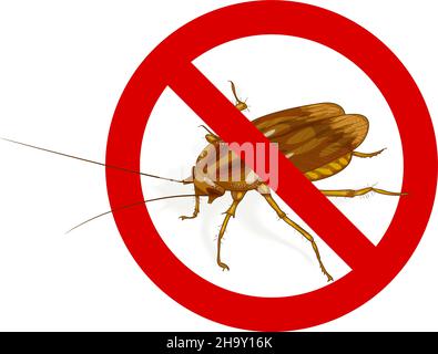 Stop Cockroach cartello. Illustrazione vettoriale. Illustrazione Vettoriale