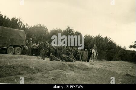 WWII WW2 i soldati tedeschi invadono la Polonia - Zucow, Polonia 09/17/1939 - prigionieri di guerra polacchi Foto Stock