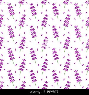 Fiori di lavanda motivo senza cuciture. Illustrazione vettoriale. Illustrazione Vettoriale