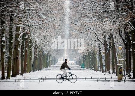 Berlino, Germania. 09th Dic 2021. Un ciclista passa attraverso il Tiergarten nella neve. Credit: Christoph Soeder/dpa/Alamy Live News Foto Stock