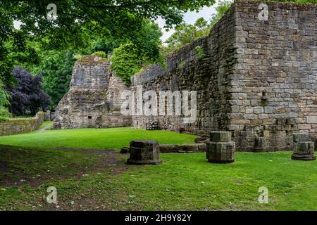 Rovine dell'abbazia di Culross nel villaggio di Culross a Fife, Scozia, Regno Unito Foto Stock