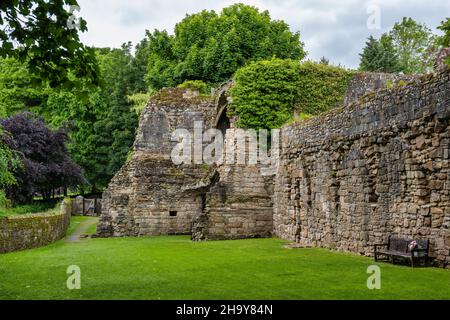 Rovine dell'abbazia di Culross nel villaggio di Culross a Fife, Scozia, Regno Unito Foto Stock
