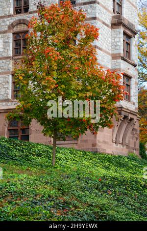 PRINCETON, NJ -31 Oct 2021- coloratissimo fogliame autunnale nel campus della Princeton University, nel New Jersey, Stati Uniti. Foto Stock