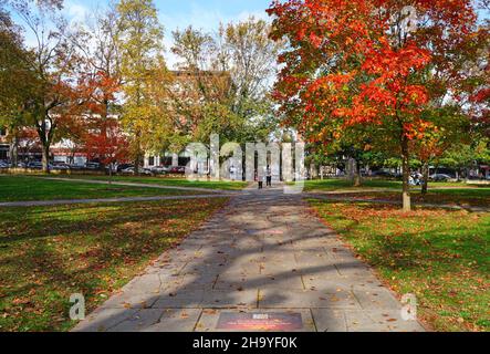 PRINCETON, NJ -31 Oct 2021- coloratissimo fogliame autunnale nel campus della Princeton University, nel New Jersey, Stati Uniti. Foto Stock