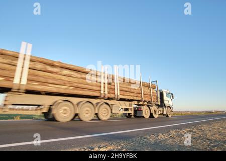 Il semirimorchio con rimorchio cargo che guida su strade pubbliche ha tagliato gli alberi di sera. Concetto di logistica e consegna legname. Foto Stock