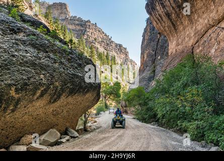 Crazy Woman Canyon, Bighorn National Forest, vicino a Buffalo, Wyoming, USA Foto Stock