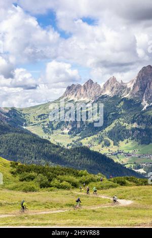 Un gruppo di giovani appassionati di mountain bike non riconoscibili scende nelle Dolomiti (foto verticale) Foto Stock