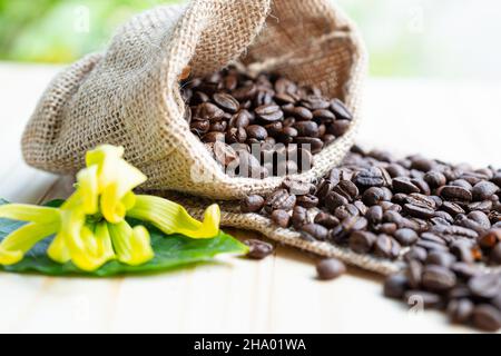 Caffè di fagiolo marrone medio arrostito su sacco con foglia verde fresco. Foto Stock