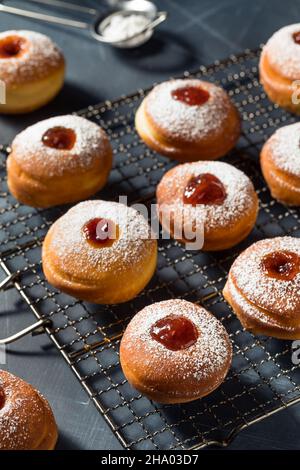 Ciambelle in gelatina di Sufganiyot ebraico fatte in casa con zucchero in polvere Foto Stock