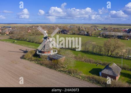 Vista aerea sul mulino a vento a Oldsum sull'isola di Föhr nel distretto di Nordfriesland / Frisia settentrionale, Schleswig-Holstein, Germania Foto Stock