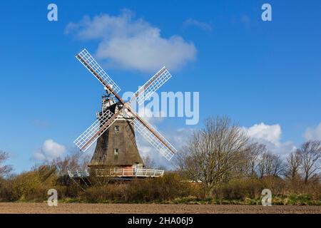 Mulino a vento a Oldsum sull'isola di Föhr nel distretto di Nordfriesland / Frisia settentrionale, Schleswig-Holstein, Germania Foto Stock