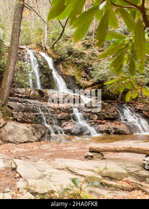 Cascate Laurel nel Great Smokey Mountains National Park Foto Stock