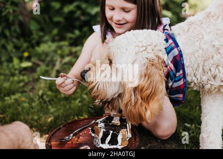 La giovane ragazza alimenta la torta di goldendoodle dalla sua forcella nel cortile posteriore Foto Stock