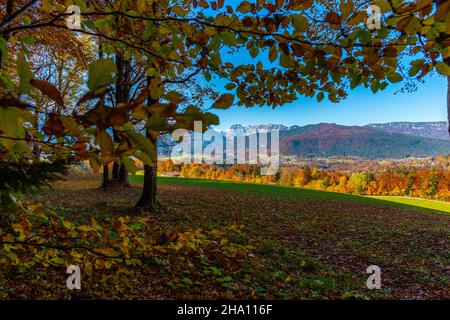 Obersalzbergbahn, Berchtesgaden, alta Baviera, Germania meridionale, Europa Foto Stock