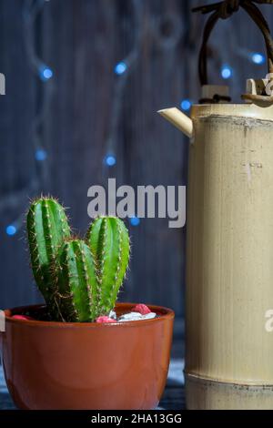 Cactus cereo in vaso di argilla con caraffa di bambù Foto Stock