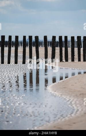 Vista su pali di legno a sabbia bianca spiaggia del mare del Nord vicino Zoutelande, Zeeland, Paesi Bassi durante la bassa marea, riflessione in acqua Foto Stock