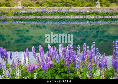 Bellissimo paesaggio intorno a Twizel, Isola del Sud, Nuova Zelanda Foto Stock