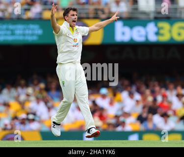 Brisbane, Australia. 10th Dic 2021. Pat Cummins of Australia fa appello a Brisbane, Australia il 12/10/2021. (Foto di Patrick Hoelscher/News Images/Sipa USA) Credit: Sipa USA/Alamy Live News Foto Stock