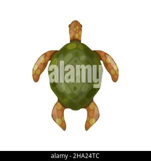 Tartaruga in stile cartone animato Illustrazione Vettoriale