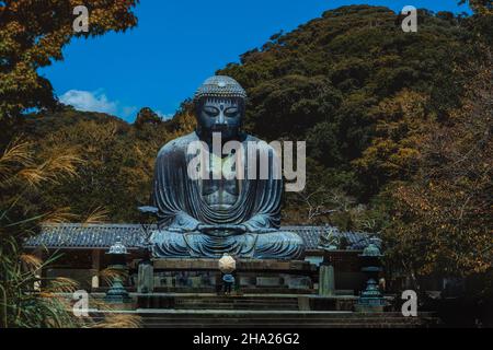 Kamakura Daibutsu. Kotoku-in in autunno, Kamakura, Prefettura di Kanagawa, Giappone Foto Stock