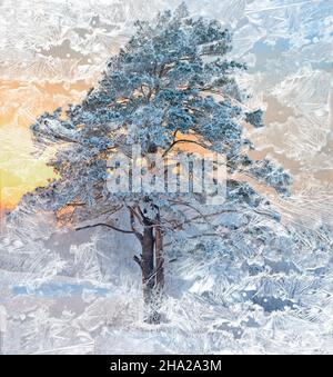 Bel pino con neve e gelo coperto al tramonto - vista attraverso il vetro gelido della finestra. Ornamento ghiacciato - sfondo invernale astratto a. Foto Stock