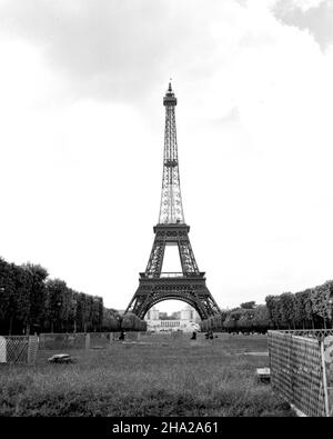 Vista a tutta altezza della Torre Eiffel dagli Champs de Mars. La posizione della telecamera è nel parco erboso con una vista centrata che guarda verso nord-ovest verso la torre e oltre. In primo piano è erba spessa e alcune macchie di fiori. Ci sono sezioni sparse di recinzione del traliccio in piedi e pochissimi utenti del parco tra la telecamera e la torre stessa. Una bandiera della Francia soffia a destra da un palo in cima alla torre. Alberi in apparente piena foglia di primavera linea entrambi i lati della foto. Il Palais de Chaillot è chiaramente visibile in lontananza attraverso le gambe della torre. Foto Stock