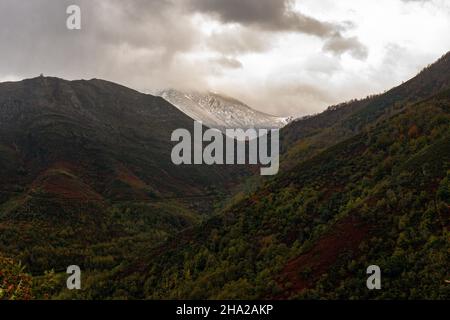 Parco Naturale Fuentes del Narcea nelle Asturie Foto Stock