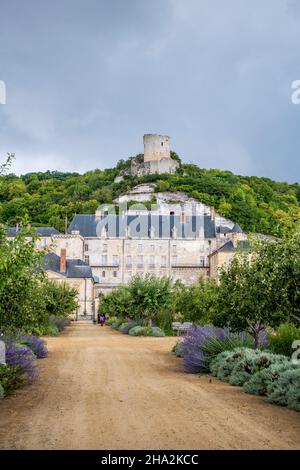 La Roche-Guyon (Francia settentrionale): Panoramica del castello e del suo tino dall'orto Foto Stock