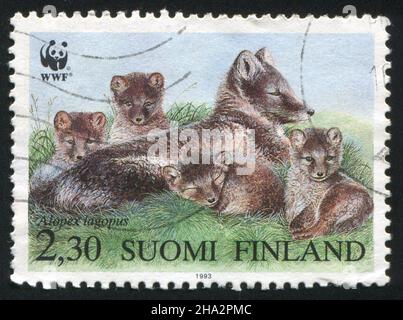 FINLANDIA - CIRCA 1993: Francobollo stampato dalla Finlandia, mostra la volpe artica, circa 1993 Foto Stock