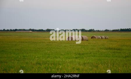 Terreni agricoli e balle di fieno in Kansas Foto Stock