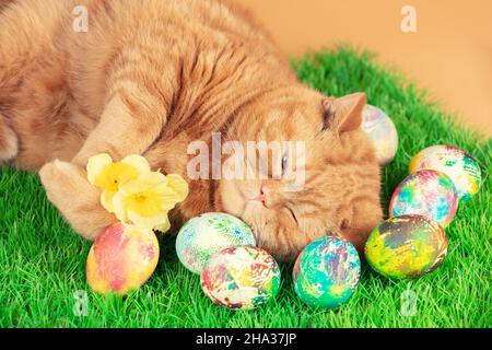Un divertente gatto zenzero che dorme su un tappeto erboso artificiale vicino a uova di pasqua colorate Foto Stock