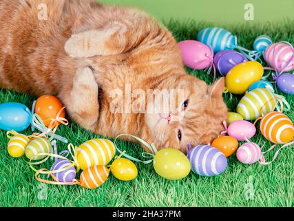 Un divertente gatto zenzero che dorme su un tappeto erboso artificiale vicino a uova di pasqua colorate Foto Stock