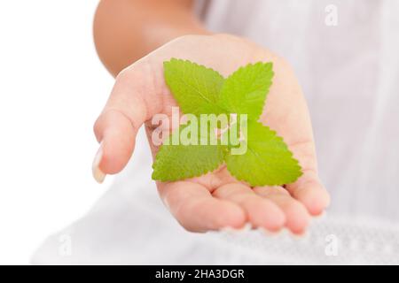 mano, cura, palmo, forma, borsa donna, bello, balsamo, dita, giovane, tenero, donna, unghie, bianco, morbido, da solo, dettaglio, benessere, parte superiore del corpo, dolcemente Foto Stock