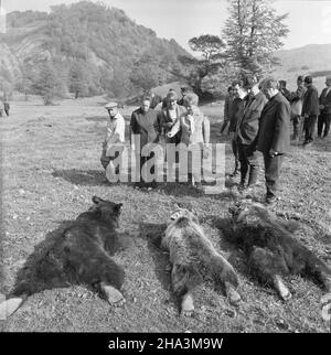 Rumunia 10,1976. I sekretarz KC PZPR Edward Gierek podczas wizyty w Rumunii wzi¹³ udzia³ w polowaniu w Karpatach. m.in. Sekretarz generalny RPK Nicolae Ceausescu (L) i jego ¿ona Elena (2L), Stanis³awa Gierek (4L), Edward Gierek (6L). meg PAP/Jan Morek Dok³adny dzieñ wydarzenia nieustalony. Romania, ottobre 1976. Primo Segretario del Comitato Centrale del Partito operaio Unito polacco Edward Gierek (6-L), sua moglie Stanislawa Gierek (4-L), Segretario Generale del Partito Comunista Rumeno Nicolae Ceausescu (L) e sua moglie Elena Ceausescu (2-L) in un picnic durante una pausa di huntin Foto Stock