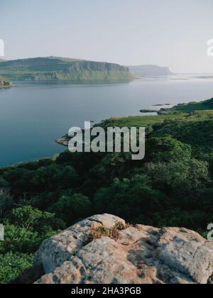 Vista sud-est attraverso il verde paesaggio estivo di Loch Na Keal a Creag Ghaill scogliere, l'isola di Mull, Inner Hebrides, Argyll & Bute Scotland UK Foto Stock