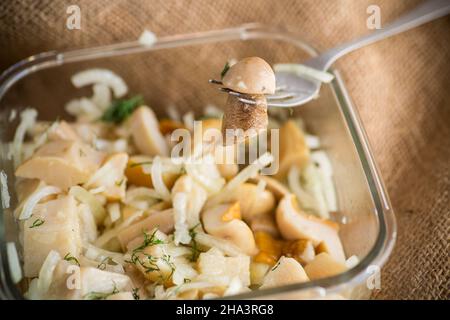 funghi naturali biologici selvatici marinati con cipolle in una ciotola di vetro Foto Stock