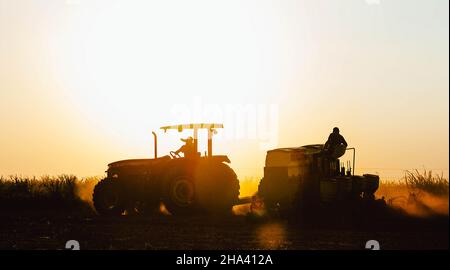 I lavoratori agricoli lavorano per piantare il raccolto. L'agricoltura è una delle basi principali dell'economia brasiliana Foto Stock